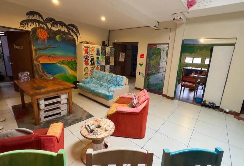 标准三人间, Stray Cat Hostel