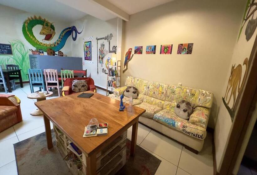 标准三人间, Stray Cat Hostel