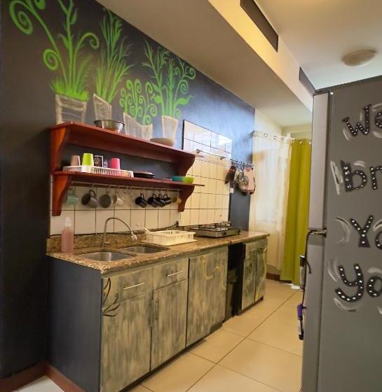 Номер Стандарт, Stray Cat Hostel