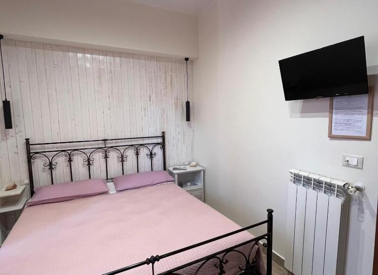 スタンダードルーム, Donna Viruzza