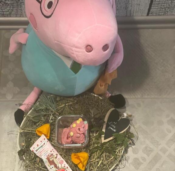 适合残疾人使用的标准间, La Maison Bett & Bike