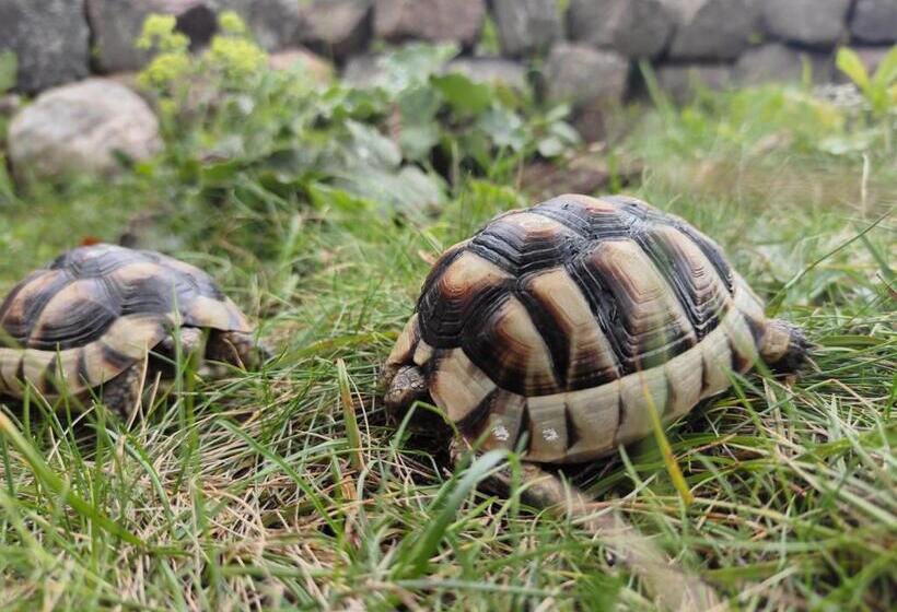 家庭洋房, La Maison Bett & Bike
