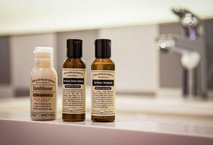 장애인을 위한 킹사이즈 침대 스탠다드 룸, Best Western Premier Empire State