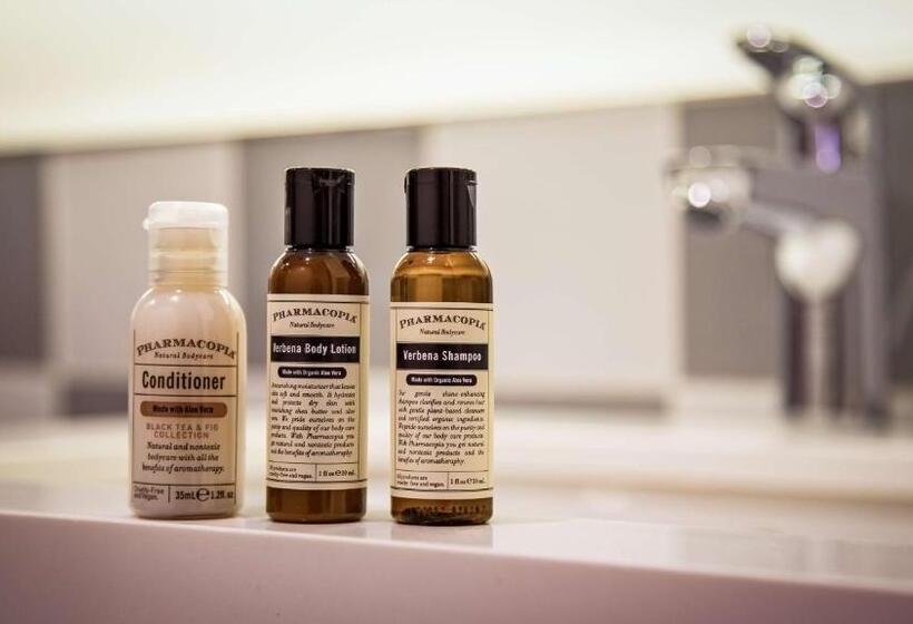 스탠다드 룸 킹사이즈 침대, Best Western Premier Empire State