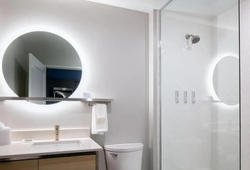 استودیو استاندارد با تخت کینگ, Towneplace Suites By Marriott Madison West, Middleton
