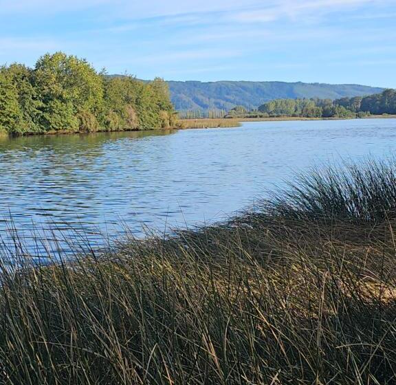 Standard Bungalow, Cabañas Rosner