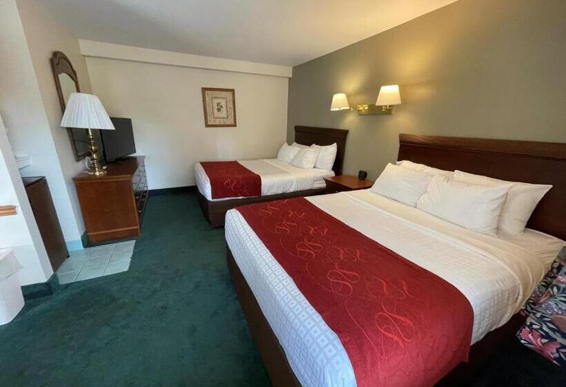 标准间, Mohican Resort Motel, Conveniently Located To All Lake George Attractions