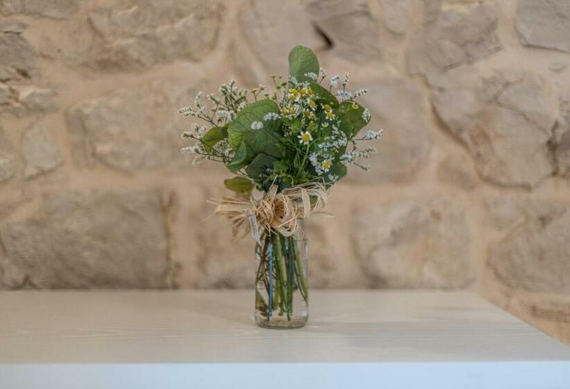 סטודיו דלוקס, Dimora Le Site