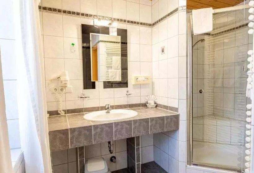 バルコニー付きスタンダードルーム, Aktivhotel & Gasthof Schmelz Ihr Urlaubs Hotel In Inzell Mit Wellness Hallenbad, Alpensauna & Dampfb