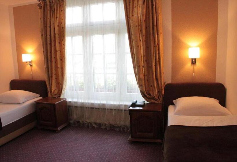 غرفة قياسية, Altstadthotel Hayk Am Rhein