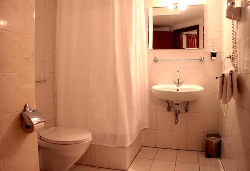 غرفة قياسية, Altstadthotel Hayk Am Rhein