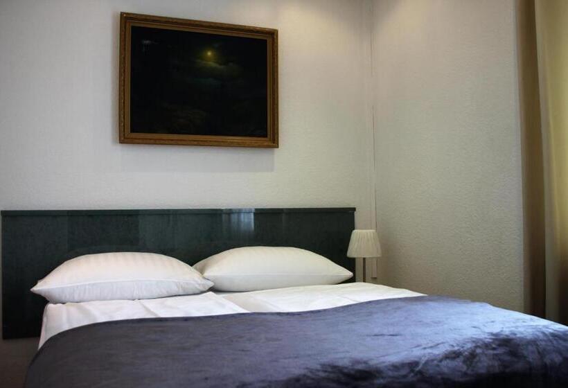 آپارتمان اقتصادی دو خوابه, Altstadthotel Hayk Am Rhein