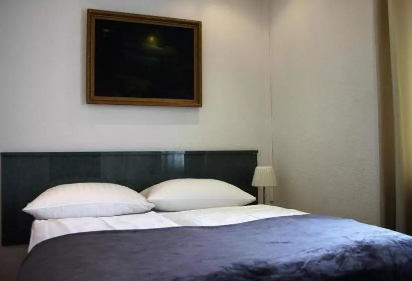 アパートメント・エコノミー2寝室, Altstadthotel Hayk Am Rhein