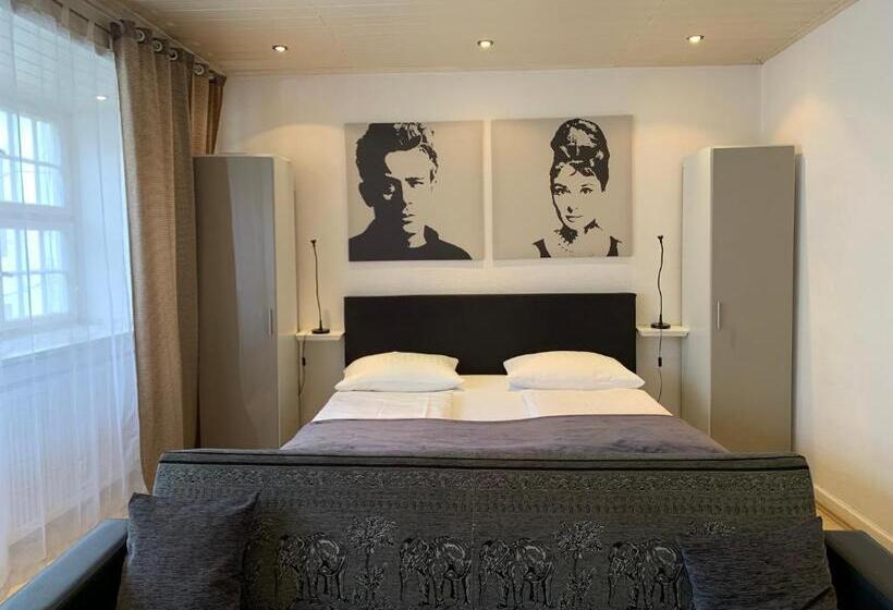 آپارتمان اقتصادی دو خوابه, Altstadthotel Hayk Am Rhein