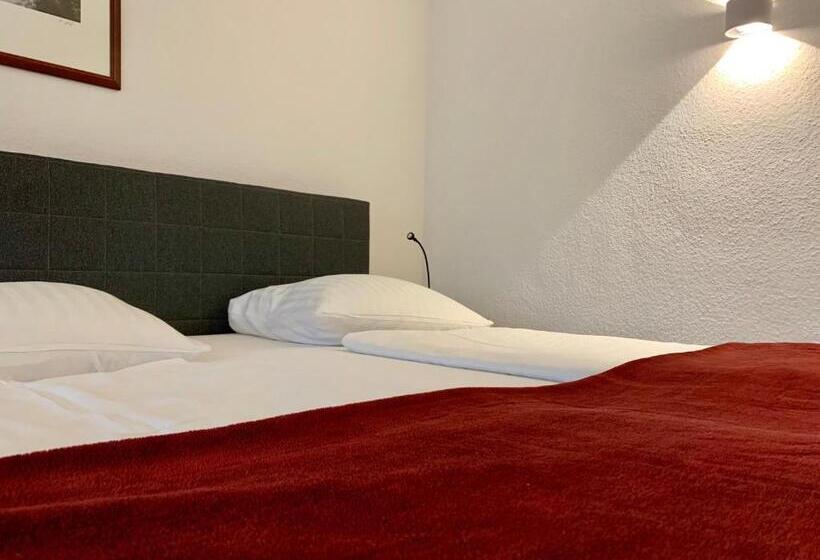 شقة 3 غرف, Altstadthotel Hayk Am Rhein