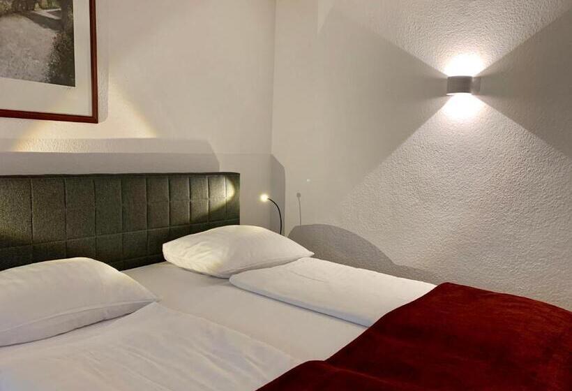 شقة 3 غرف, Altstadthotel Hayk Am Rhein