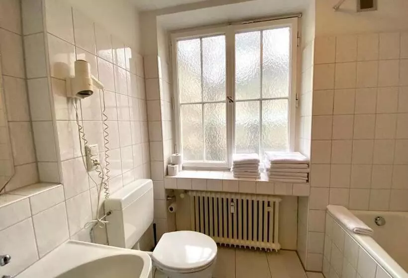 １ベッドルームエコノミーアパートメント, Altstadthotel Hayk Am Rhein