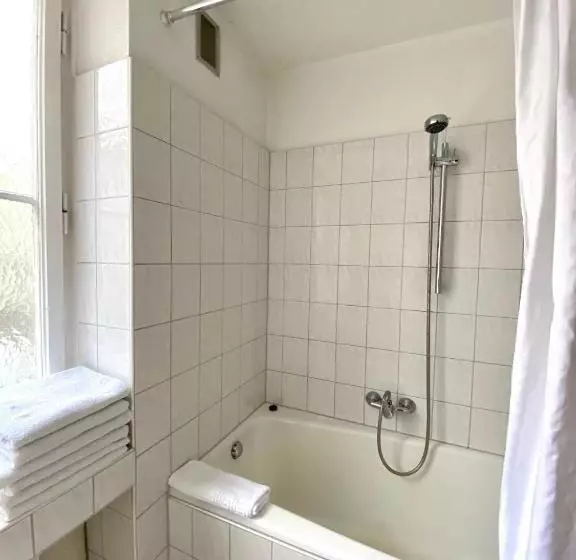 １ベッドルームエコノミーアパートメント, Altstadthotel Hayk Am Rhein