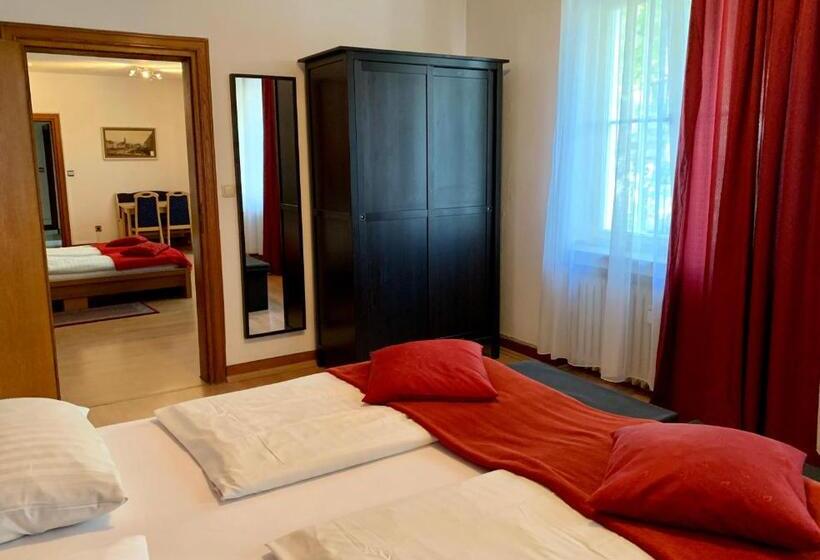 شقة إقتصادية غرفة واحد, Altstadthotel Hayk Am Rhein