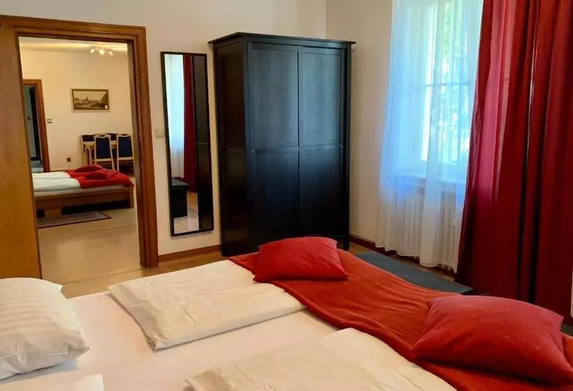 １ベッドルームエコノミーアパートメント, Altstadthotel Hayk Am Rhein