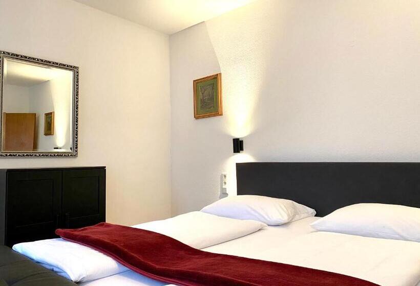 Апартаменты Economy 1 Спальня, Altstadthotel Hayk Am Rhein