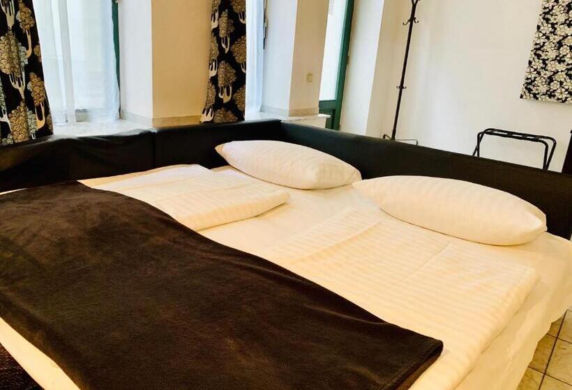 إستوديو سوبيريور, Altstadthotel Hayk Am Rhein