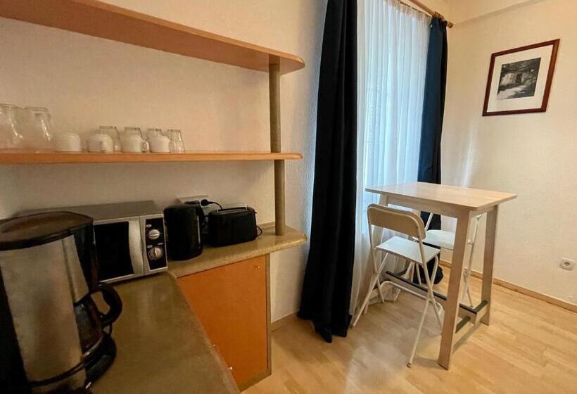 آپارتمان 1 خوابه همکف, Altstadthotel Hayk Am Rhein