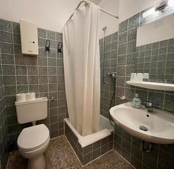 آپارتمان 1 خوابه همکف, Altstadthotel Hayk Am Rhein