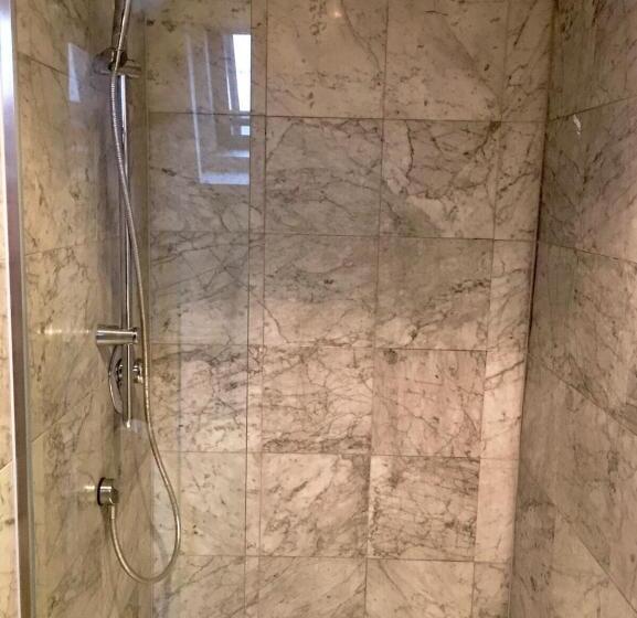 شقة ديلوكس غرفة واحدة, Altstadthotel Hayk Am Rhein