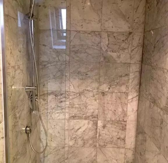１ベッドルームのデラックスアパートメント, Altstadthotel Hayk Am Rhein