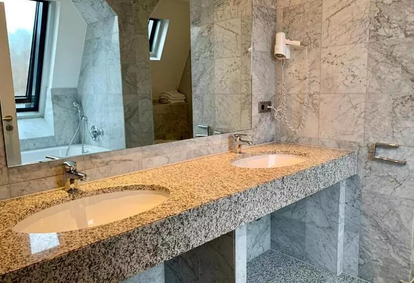 １ベッドルームのデラックスアパートメント, Altstadthotel Hayk Am Rhein