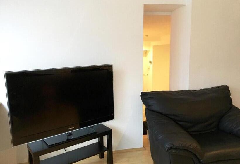 شقة ديلوكس غرفة واحدة, Altstadthotel Hayk Am Rhein