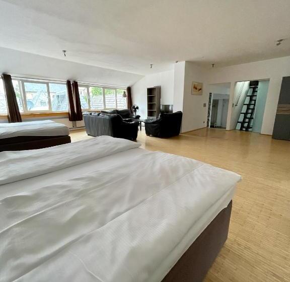 شقة ديلوكس غرفة واحدة, Altstadthotel Hayk Am Rhein