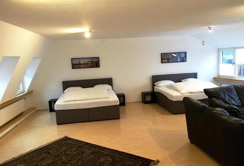 شقة ديلوكس غرفة واحدة, Altstadthotel Hayk Am Rhein