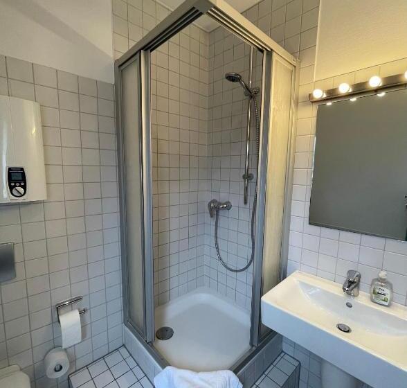 شقة دور أخير غرفة نوم واحدة, Altstadthotel Hayk Am Rhein