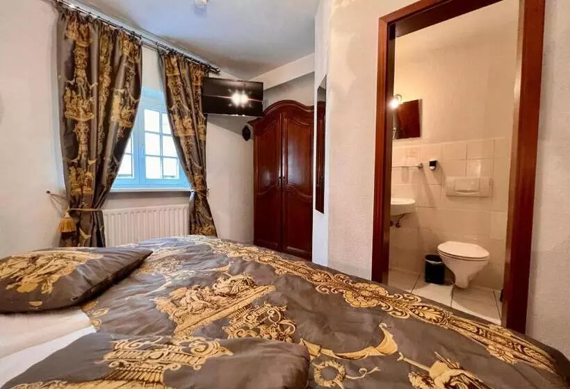 ベーシックルーム, Altstadthotel Hayk Am Rhein