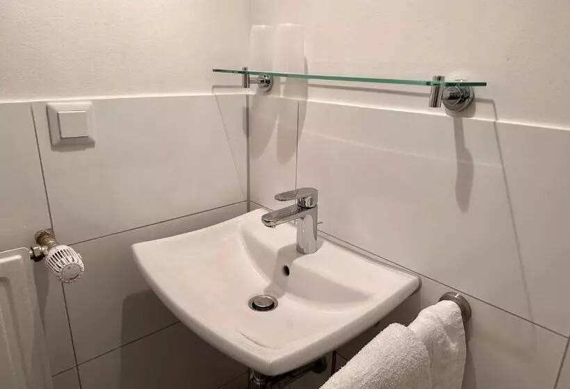 ベーシックルーム, Altstadthotel Hayk Am Rhein