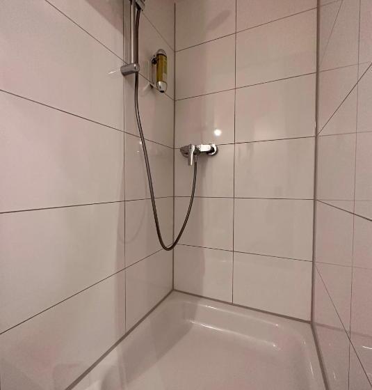 غرفة أساسية, Altstadthotel Hayk Am Rhein