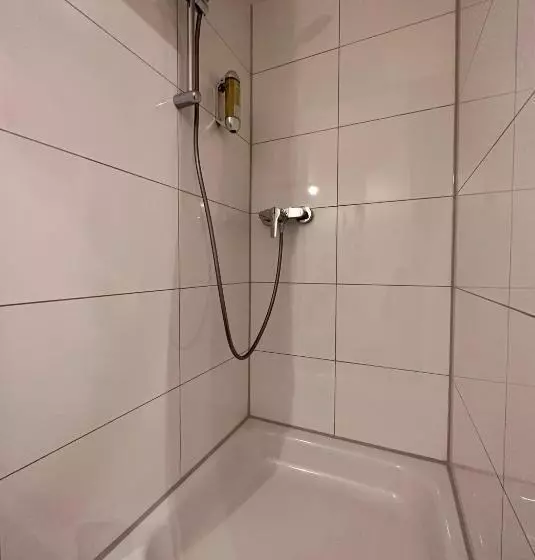 ベーシックルーム, Altstadthotel Hayk Am Rhein