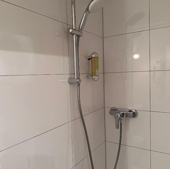 Номер Basic, Altstadthotel Hayk Am Rhein