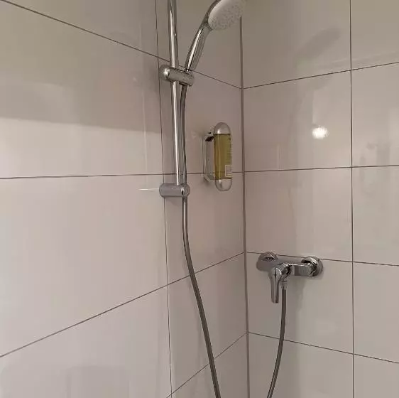 ベーシックルーム, Altstadthotel Hayk Am Rhein