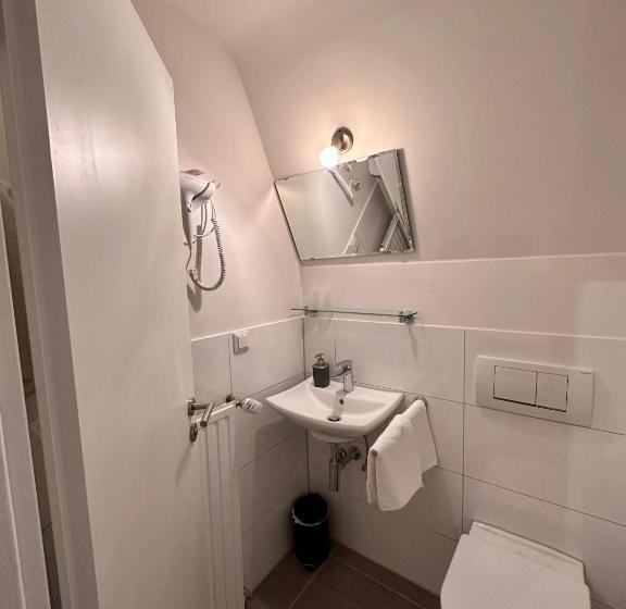 اتاق عادی, Altstadthotel Hayk Am Rhein