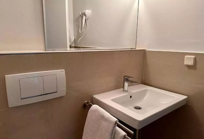 レイクビュースタンダードルーム, Altstadthotel Hayk Am Rhein
