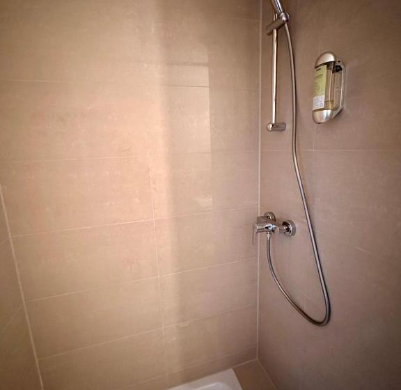 غرفة قياسية مطلّة علي البحيرة, Altstadthotel Hayk Am Rhein