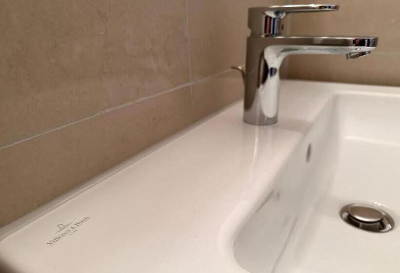 غرفة قياسية مطلّة علي البحيرة, Altstadthotel Hayk Am Rhein