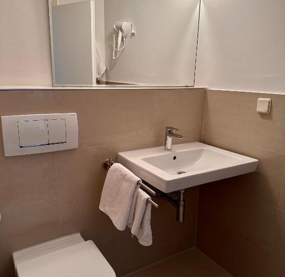 غرفة قياسية مطلّة علي البحيرة, Altstadthotel Hayk Am Rhein