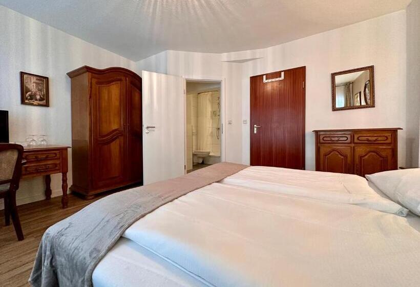 غرفة قياسية سرير كينج, Altstadthotel Hayk Am Rhein