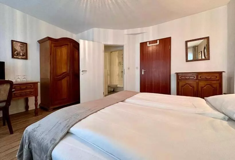 キングサイズベッドのスタンダードルーム, Altstadthotel Hayk Am Rhein