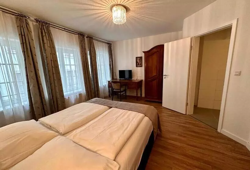 キングサイズベッドのスタンダードルーム, Altstadthotel Hayk Am Rhein