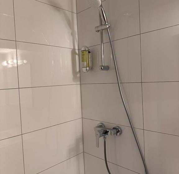 غرفة قياسية سرير كينج, Altstadthotel Hayk Am Rhein